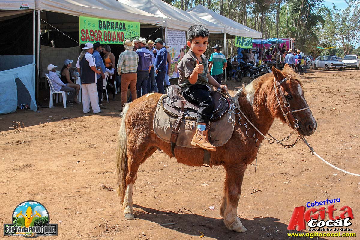 Festa da Pamonha (3 Dia)